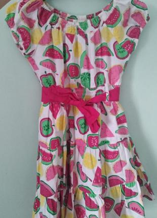 Сукня pumpkin patch з фруктовим принтом 4р4 фото