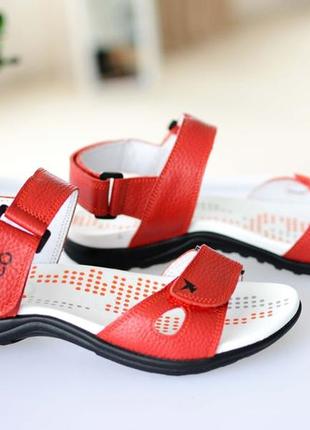 Босоніжки  hilfiger шкіра 2