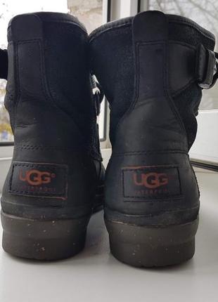 Ботиночки ugg ( оригинал) 37- 38 размер6 фото
