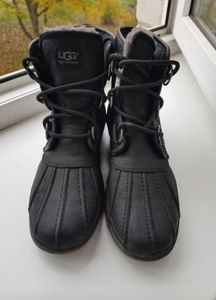 Ботиночки ugg ( оригинал) 37- 38 размер3 фото
