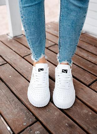 Puma 6