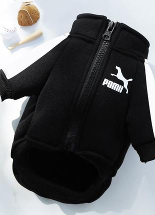 Толстовка на блискавці для собак puma розмір s 22*40, чорна