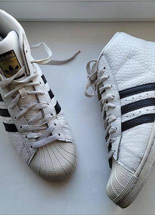 Мужские кожаные кроссовки 
adidas super star