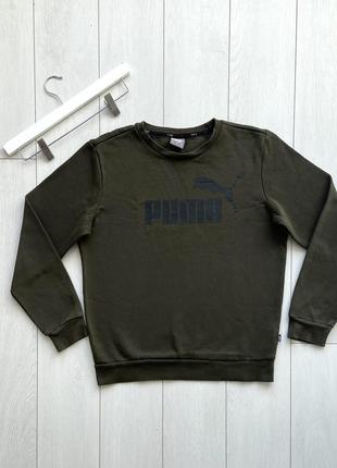 Свитшот puma мужской реглан кофта пайта толстовка