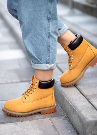 Черевики timberland5 фото