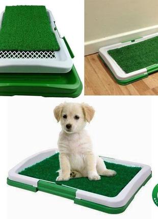 Туалет для собак nbz puppy potty pad 47х34х6 см green4 фото