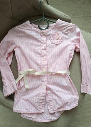 Блуза блузка натуральна бавовна хлопок блузочка нарядна для дівчинки довгий рукав