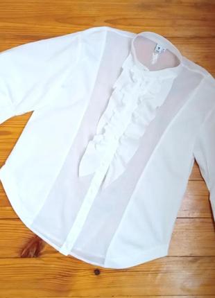 Біла блузка сорочка/ бавовняна сорочка/ базова сорочка2 фото