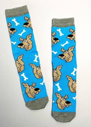 Женские носки повседневные качественные голубые высокие 1 пара  скубби-ду 36-41 с героем мультфильма км2 фото