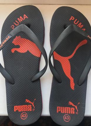 Тапки puma