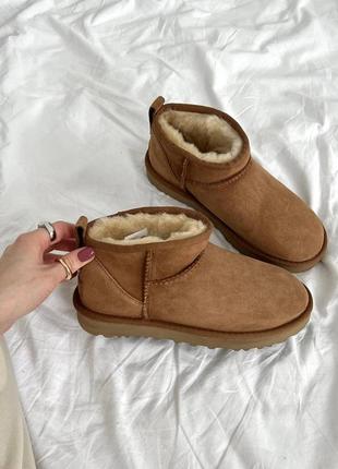 Женские угги ugg classic ultra mini caramel ультра мини7 фото