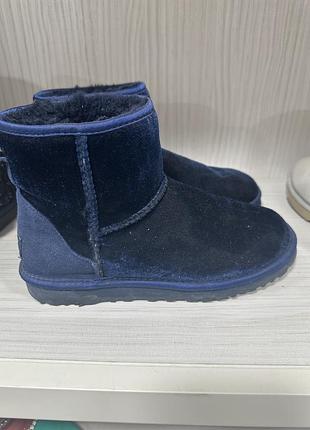 Бархатные угги, ugg1 фото