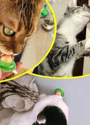 Іграшка-цукерка для котів та кішок1 фото