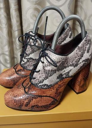 Нові стильні шкіряні брендові туфлі andremade in brazil 🇧🇷2 фото