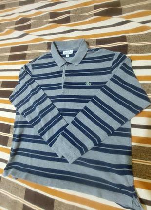 Поло lacoste