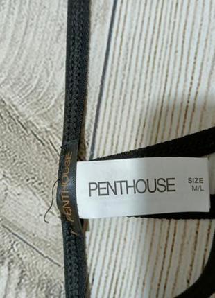 Еротична білизна трусики з доступом penthouse4 фото