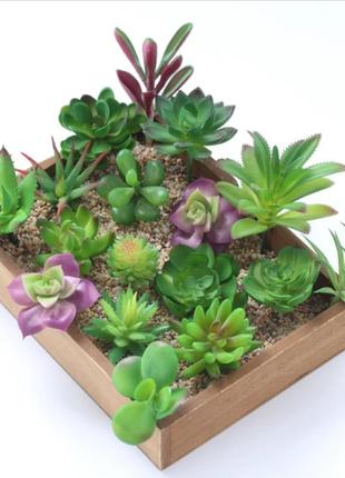 1 шт искусственные🌵☘️🌿 растения суккуленты