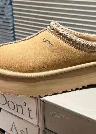 Демисезонні тапочки ugg tazz