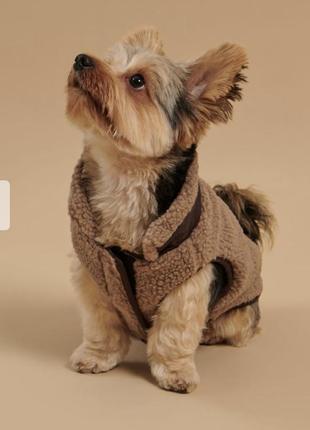 Костюм куртка для собаки3 фото