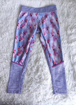 Лосины frozen||