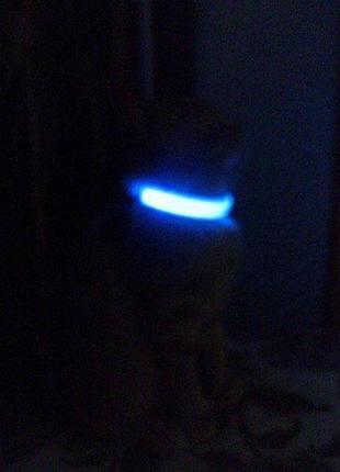 Ошейник led светящийся узкий для небольших собак и кошек 0.5 м синий, красный, зеленый salemarket5 фото