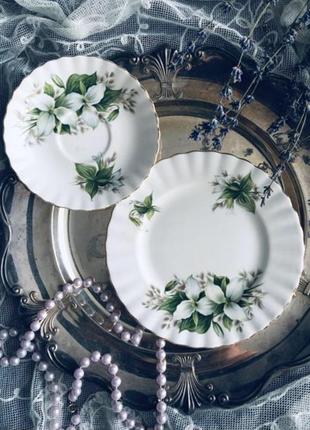 🔥 тарелки 🔥 винтаж английская фарфор royal albert