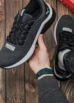 Кросівки puma hybrid grey кросівки