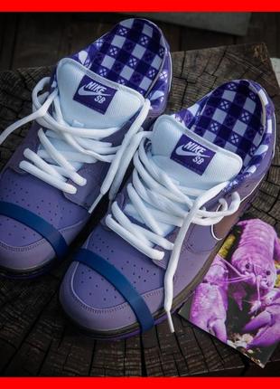 Новые кроссовки nike sb dunk low lobster purple / найк данк / мужские кроссовки / демисезонные / весна, лето, осень / премиум