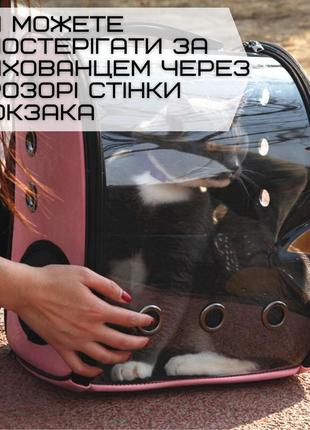 Прозорий рюкзак переноска для прогулянок кішок і маленьких собак з ілюмінатором до 7 кг рожевий4 фото