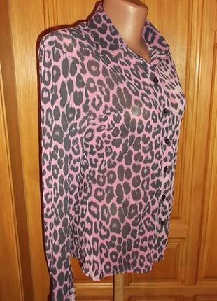 Рубашка  блуза сетка стильная расцветка р. 12-m
