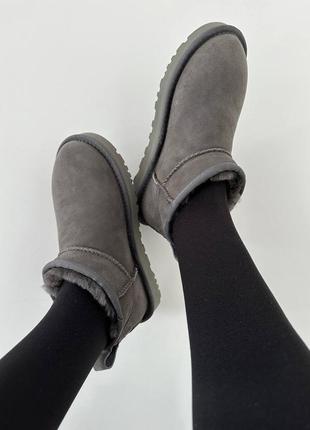 Уггі угги угг ugg ultra mini grey suede6 фото