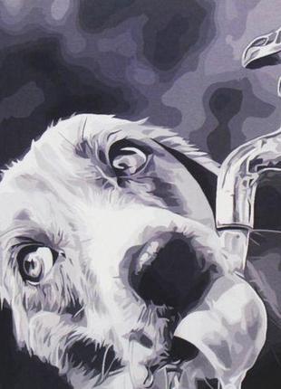 Картина за номерами "жага"