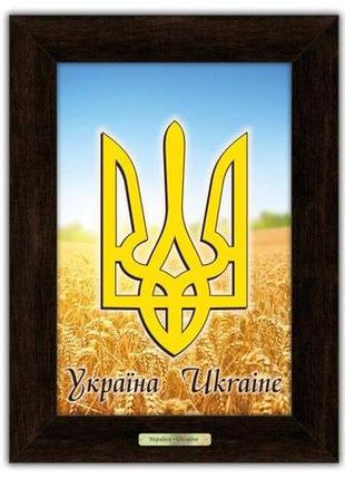 Набор классических картин "герб с колосьями" 3 шт 20*30 см гранд презент гпуккл380103к1 фото