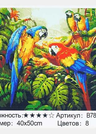 Картина за номерами + алмазная мозайка b 78746 "tk group", 40х50 см,"папугаи", в коробке