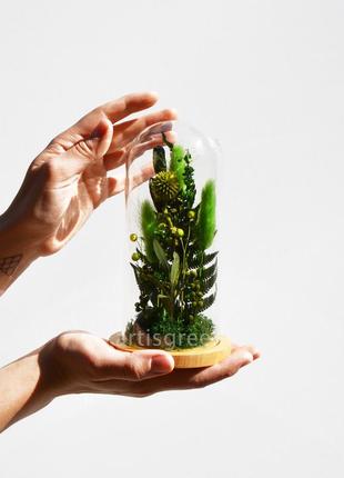 Корпоративный подарок на 8 марта: колба со стабилизированными растениями, зеленая3 фото