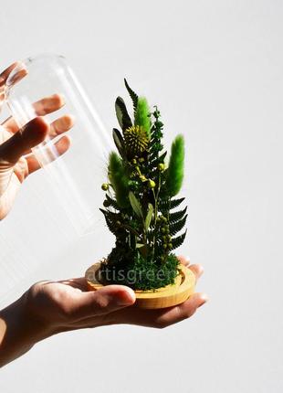 Корпоративный подарок на 8 марта: колба со стабилизированными растениями, зеленая6 фото