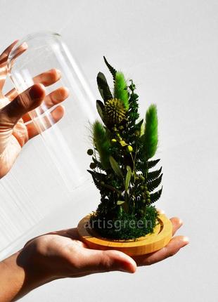 Корпоративный подарок на 8 марта: колба со стабилизированными растениями, зеленая7 фото