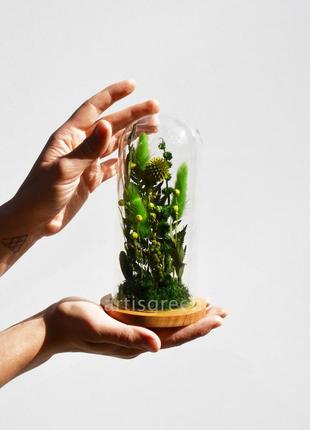 Корпоративный подарок на 8 марта: колба со стабилизированными растениями, зеленая4 фото