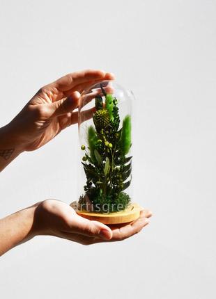 Корпоративный подарок на 8 марта: колба со стабилизированными растениями, зеленая2 фото