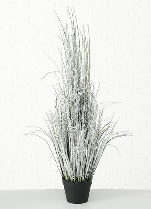 Декоративное растение (трава) в горшке h116см гранд презент 10156101 фото