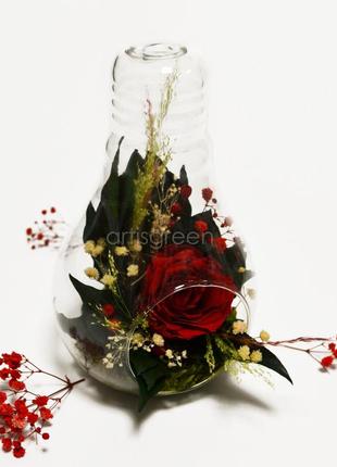 Подарок на 8 марта: стеклянная колба со стабилизированными растениями и розой, красная4 фото
