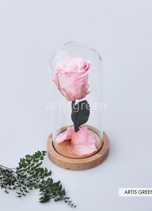 Корпоративный подарок на 8 марта. долговечная розовая роза на стебле в колбе4 фото