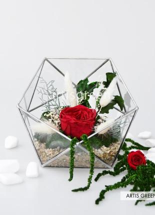 Подарок девушке, жене на 8 марта: флорариум со мхом, долговечными растениями и красной розой