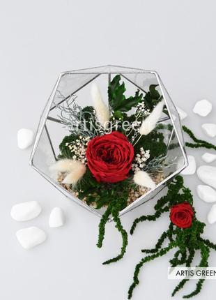 Подарок девушке, жене на 8 марта: флорариум со мхом, долговечными растениями и красной розой4 фото