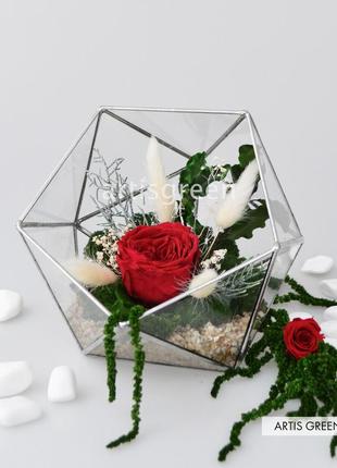 Подарок девушке, жене на 8 марта: флорариум со мхом, долговечными растениями и красной розой2 фото