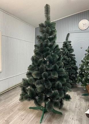 Сосна, зеленая с белыми кончиками, 210 см.