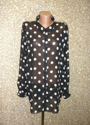 Шифоновая блузка  в горошек  с длинным рукавом "f&f" 50-52 р1 фото