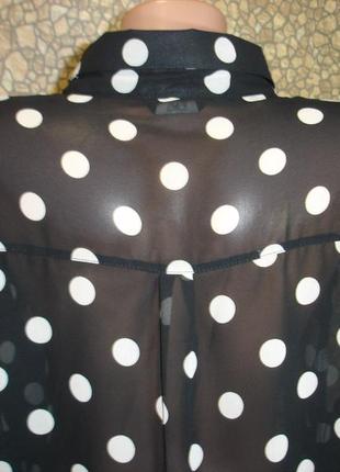 Шифоновая блузка  в горошек  с длинным рукавом "f&f" 50-52 р6 фото