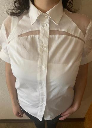 Блуза кира поастинина2 фото