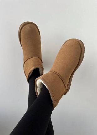 Уггі угги угг ugg mini ginger suede7 фото